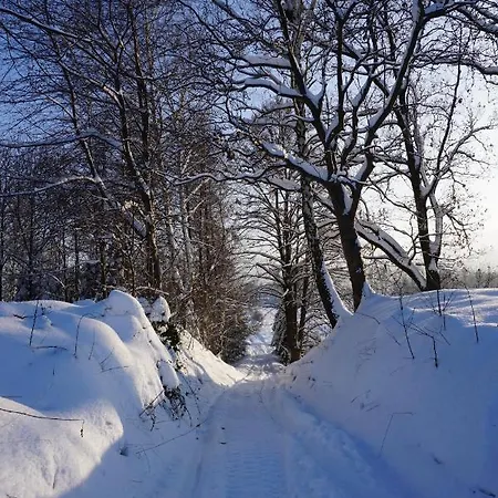 Uroczy Z Kominkiem Feriehus Lipowa