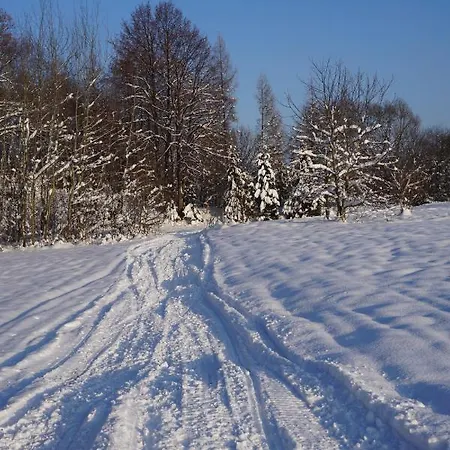 Uroczy Z Kominkiem Lipowa