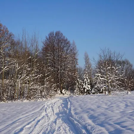 Semesterbostad Uroczy Z Kominkiem Lipowa