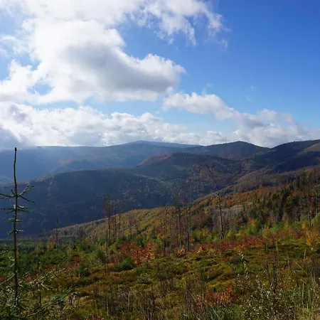 펜션 Uroczy Z Kominkiem 리포와