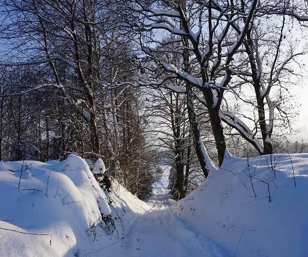 Uroczy Z Kominkiem Holiday home Lipowa