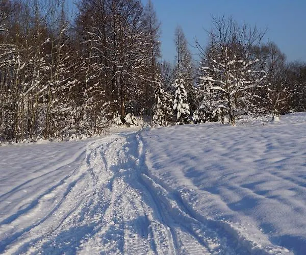 Uroczy Z Kominkiem 리포와