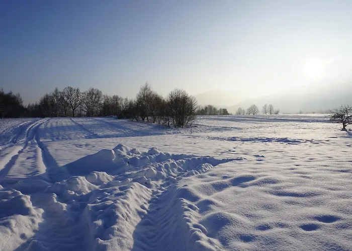 Uroczy Z Kominkiem * Lipowa