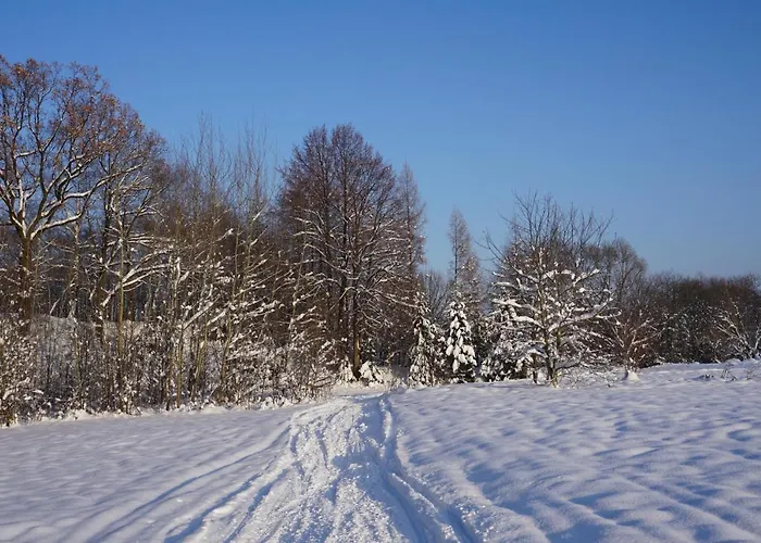 Holiday home Uroczy Z Kominkiem Lipowa