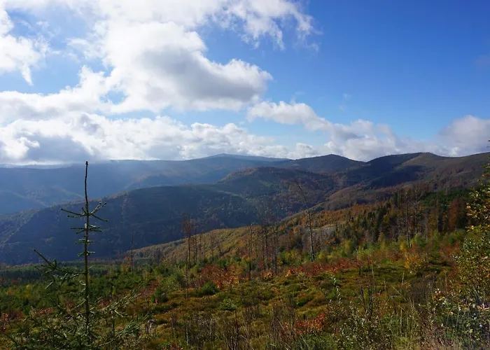 펜션 Uroczy Z Kominkiem 리포와