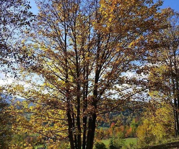 Uroczy Z Kominkiem 리포와